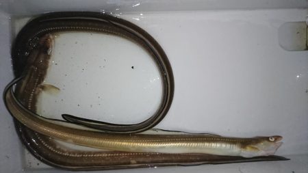 雨の日は、車横づけ置き竿で